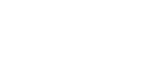 First Eagle Federal Credit Union logo